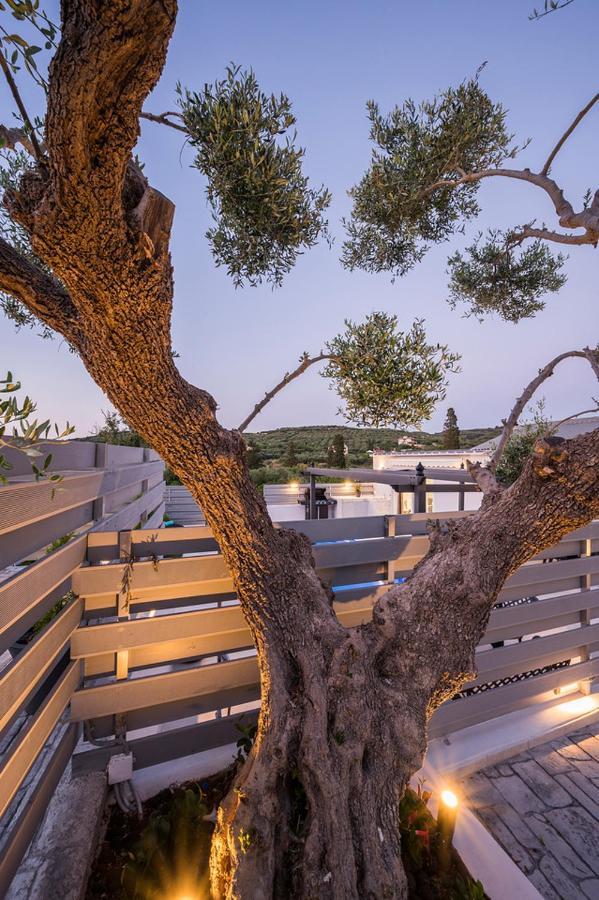 B&M Villas Metochi Siriliou Buitenkant foto